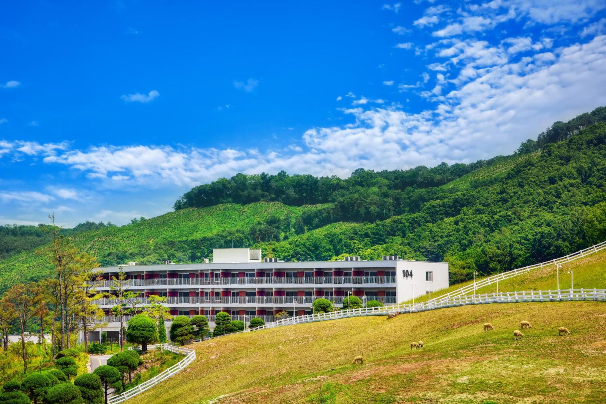 Belle Fore Resort Jeungpyeong Eksteriør bilde